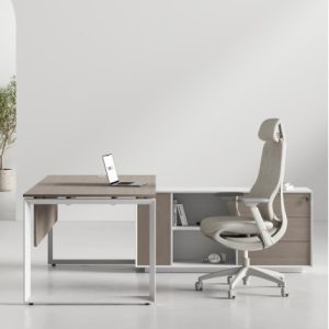 Ace Pro Series With Side Cabinet L Shape Executive Desk